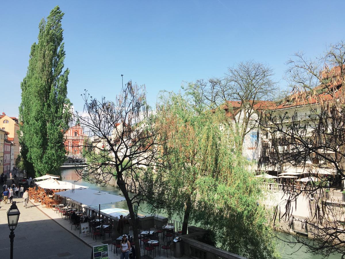 River And Castle View Apartment Rose Tour As 류블랴나 외부 사진
